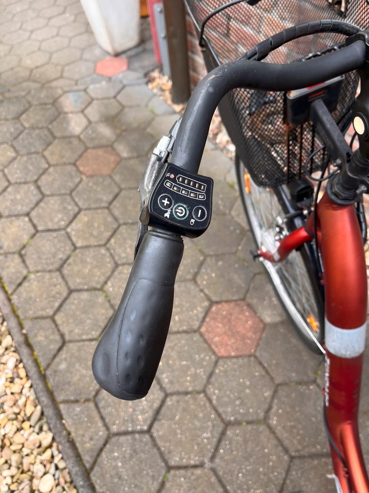 E-Bike Damen in Oberhausen
