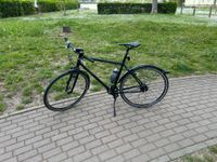 Staiger Velo AI 86 52 cm Sachsen - Pirna Vorschau