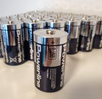 PANASONIC Alkaline Batterie Typ D LR20AD Hessen - Gladenbach Vorschau
