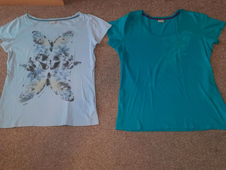 2 T-Shirts von Esprit Gr. XL (42 44) blau türkis in Duderstadt