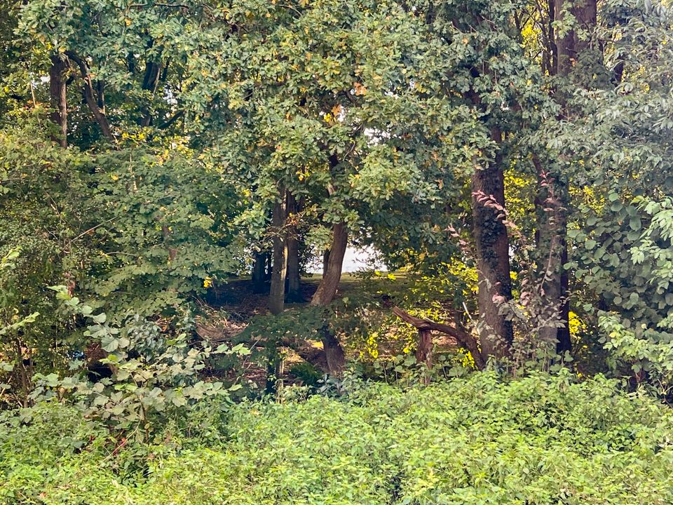 Bezauberndes Holzhaus am Brahmsee mit einmaligem Ausbaupotential in Neumünster