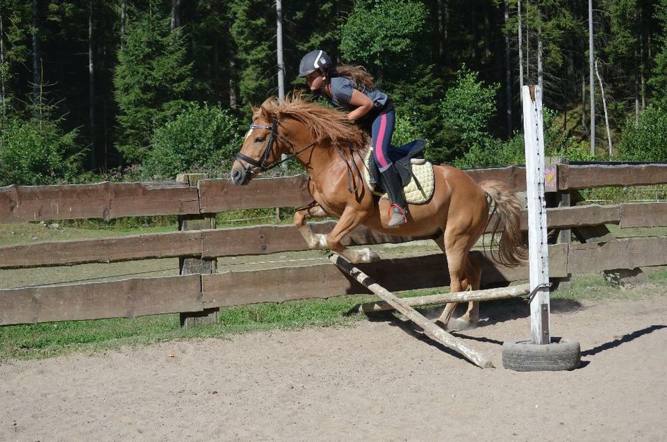 Ponyführen auf dem Reiterhof Finkenmühle in Weißenstadt