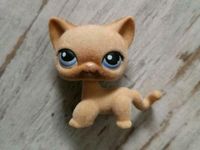 Littlest Pet Shop Shorthair  Katze Figur #318 fuzzy sehr selten Duisburg - Hamborn Vorschau