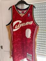 NBA Cleveland Bape jersey Essen - Essen-Ruhrhalbinsel Vorschau