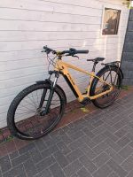 Focus Aventura2 E-Bike Gr. M Nordrhein-Westfalen - Rheda-Wiedenbrück Vorschau