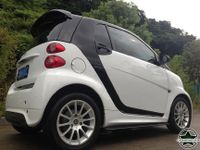 Cstar Gfk Dachspoiler für Smart 451 Fortwo 8-13 VOR MOPF KEIN LCI Nordrhein-Westfalen - Metelen Vorschau