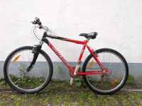 MTB Specialized Hard Rock  (Rahmen: 19) Frankfurt am Main - Sachsenhausen Vorschau