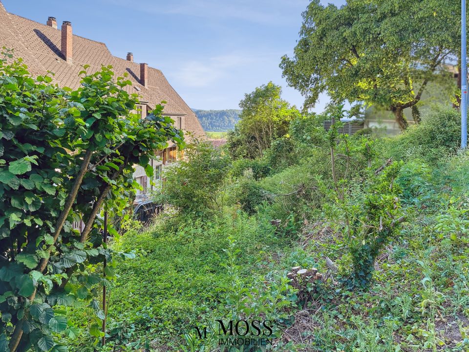 Schönes Grundstück für ein Einfamilienhaus in Hanglage mit Blick in