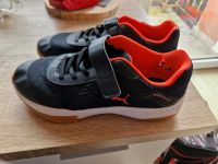 Puma Turnschuhe Hessen - Bad Arolsen Vorschau