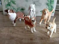 5 Schleich Hunde Düsseldorf - Flehe Vorschau