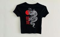 Tshirt mit Drachen Print, Größe XS Harburg - Hamburg Heimfeld Vorschau