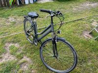 Damen und Herren Fahrrad Baden-Württemberg - Philippsburg Vorschau