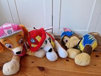 XXL Paw Patrol Kuscheltiere Schleswig-Holstein - Jardelund Vorschau