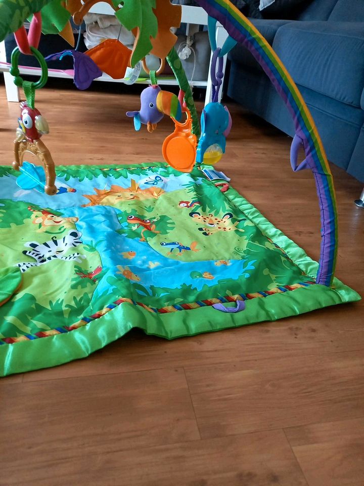 Fisher-Price Regenwald Spielbogen Spieldecke mit Licht und Melodi in Glinde