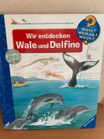 Wiso weshalb warum / Wir entdecken Wale und Delfine Nordrhein-Westfalen - Ladbergen Vorschau