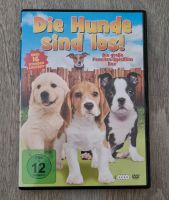 Die Hunde sind los! - 12 Filme auf 4 DVDs Brandenburg - Bernau Vorschau