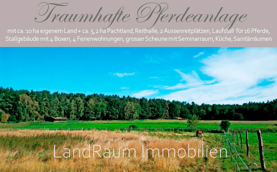 Pferdeanlage - Pferdehof - Reitanlage, 4 FW, 10 ha Land + ca. 5,2 ha Pachtland (bis 31.7.26), Reithalle 20 x 60 m, 2 Aussenreitplätzen (60 x 30 & 30 x 30), Laufstall 16 Pferde+4 Boxen, grosser Scheune in Dreetz