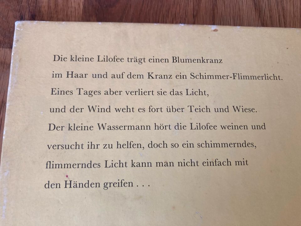 Kudlácek Das schimmernde flimmernde Licht Bilderbuch Märchen DDR in Burgdorf