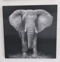 3D Wandbild Afrika Elefant, schau mal, wie neu! Sachsen - Aue Vorschau