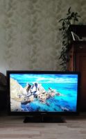 Samsung Fernseher LED TV 40 Zoll TOP Zustand NUR ABHOLUNG Rheinland-Pfalz - Worms Vorschau