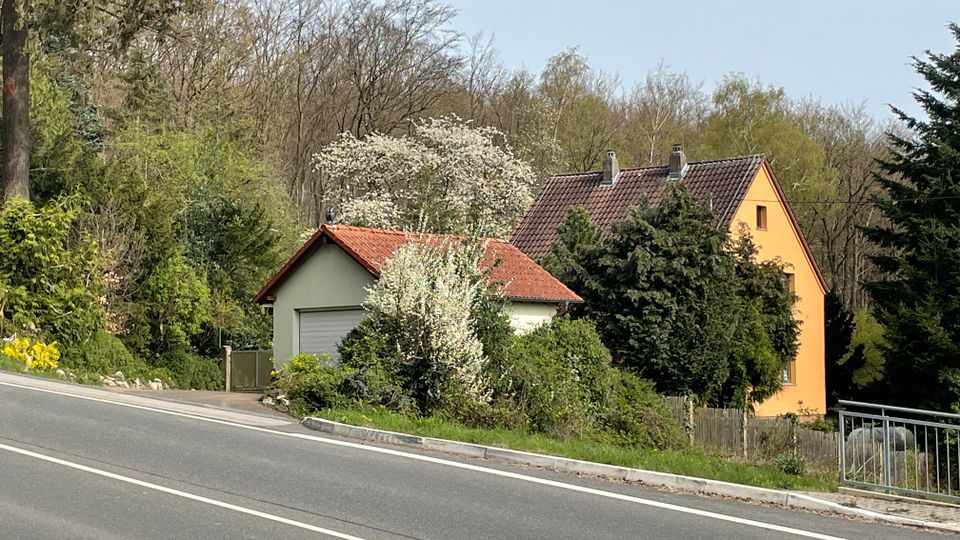 Freistehendes Einfamilienhaus in einzigartiger Lage in Wiesbaden