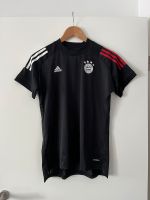 Fc Bayern München Frauen Trikot Nordrhein-Westfalen - Würselen Vorschau