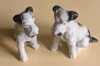 Fox Terrier, Vintage ,Porzellan,Carl Scheidig? Rheinland-Pfalz - Wallmerod Vorschau