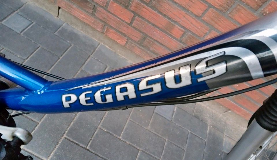 Damen Fahrrad Pegasus 28 Zoll Blau in Borgstedt