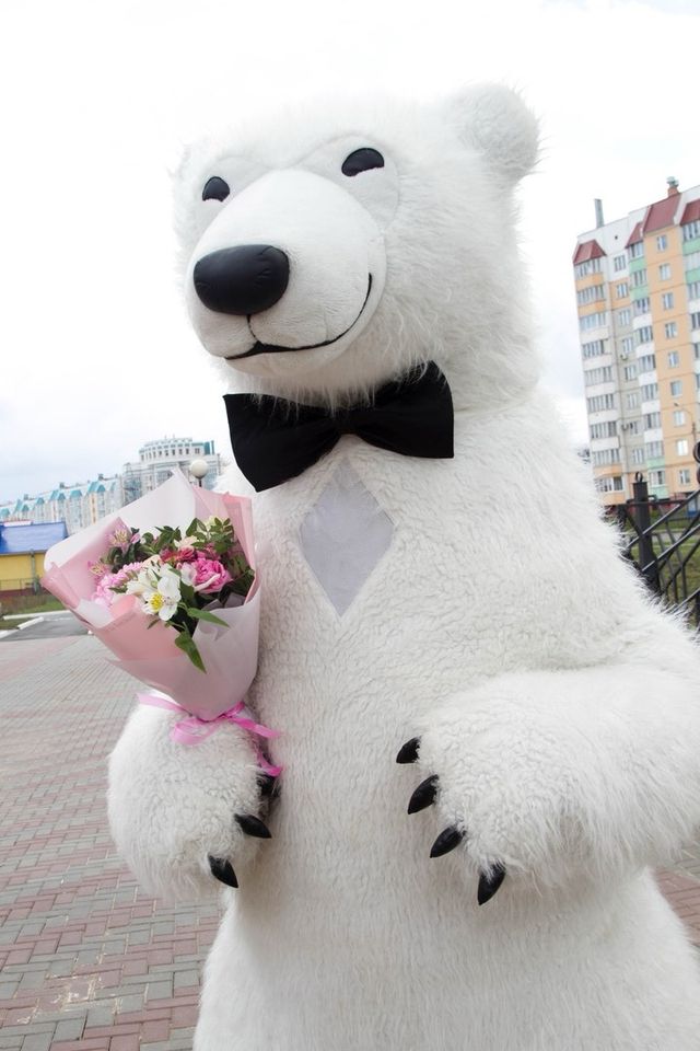 Eisbär Kostüm zu verkaufen 2,70m Mit Akku Neu in Hochspeyer