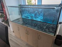 Aquarium 600L zu verschenken. Baden-Württemberg - Immendingen Vorschau