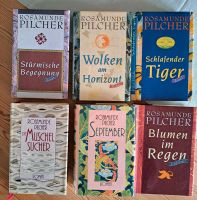 Rosamunde Pilcher 12 Bücher  Rheinland-Pfalz - Bettenfeld Vorschau