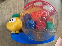 Schnecke mit Musik Fisher Price Hessen - Kassel Vorschau