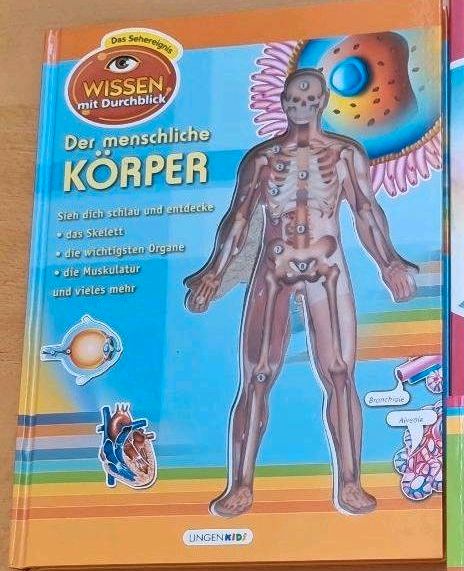 2 Stück Lernbücher Der menschliche Körper Buch für Kinder Wissen in Ottersweier