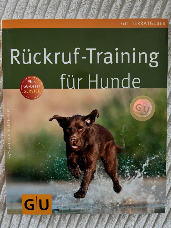 Das große Spielebuch für Hunde & Rückruftraining in Dortmund