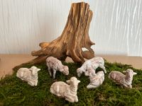 Krippenfiguren Kunststoff:  6 Schafe für 11/12 cm Figuren Baden-Württemberg - Leimen Vorschau