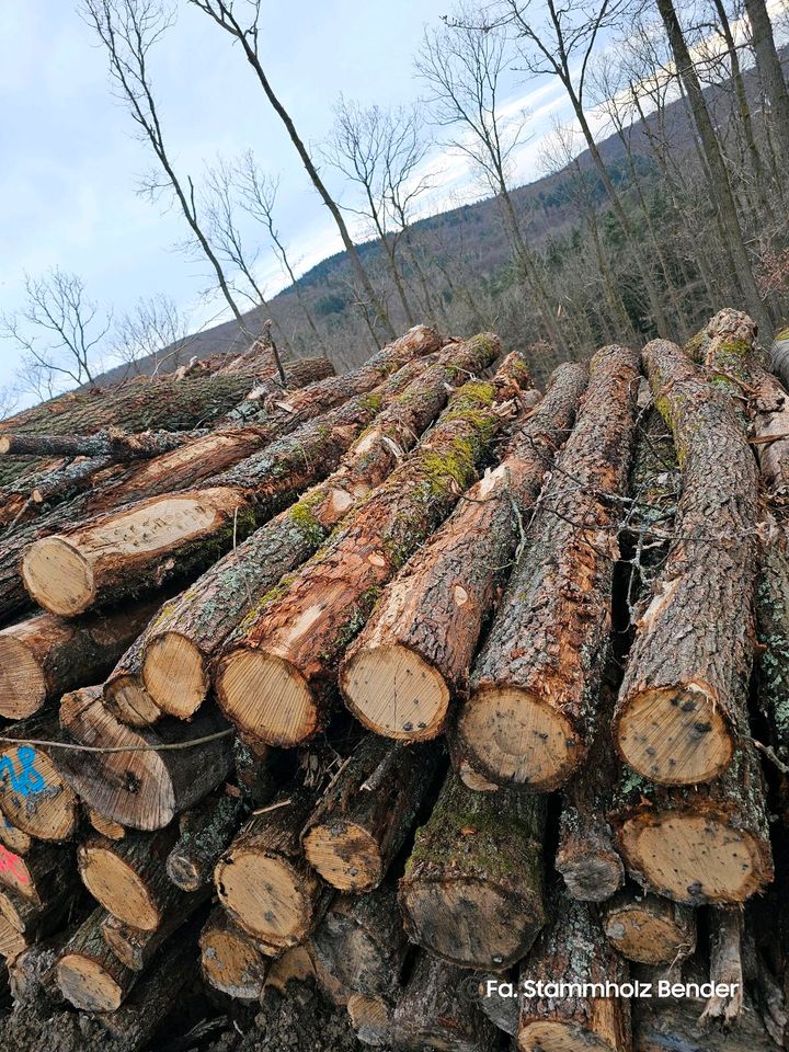 Sonderpreis: Eiche Stammholz als Brennholz keine Buche in Butzbach