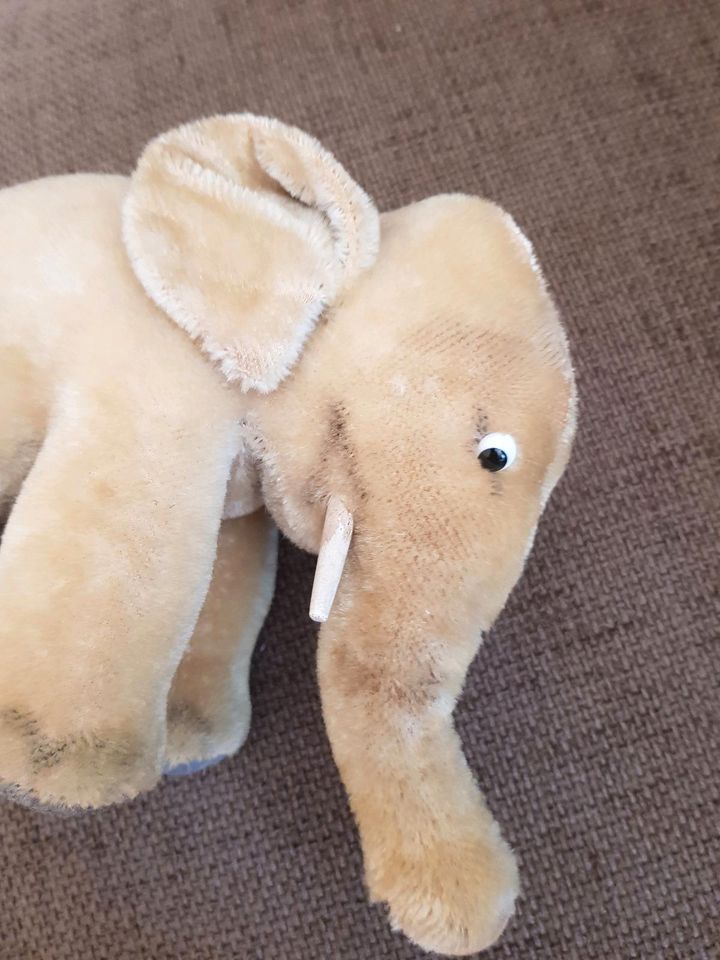 Steiff, alter Elefant, bespielt, Knopf im Ohr in Winsen (Aller)