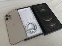 Iphone 12 pro Max Gold 512 GB Baden-Württemberg - Riedlingen Vorschau