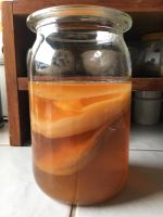Kombucha scoby Mutter Pilz Ansatz fermentiert Tee Bayern - Triefenstein Vorschau