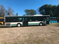 Mercedes Citaro Camper Wohnmobil Bus Schulbus Niedersachsen - Geeste Vorschau