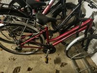 Damenfahrrad 26 Zoll Sachsen - Sohland Vorschau