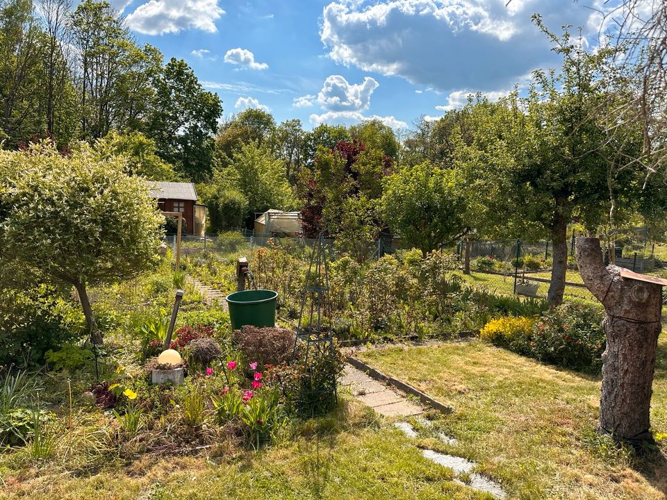 Garten zu verkaufen / Stadtpark / Bärenstein in Plauen