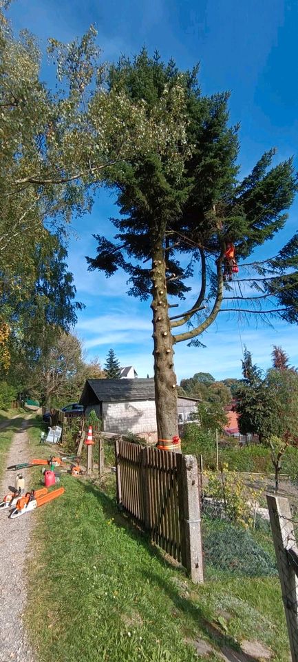 Baumfällung Baumpflege Heckenschnitt Wiesenmahd PSA-Prüfung in Katzhütte