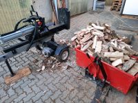 Lohnspalten Holzspalten Holzspalter Brennholz Feuerholz Kaminholz Sachsen - Rodewisch Vorschau