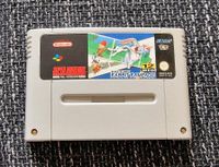 SNES Super Nintendo Spiel Bugs Bunny Niedersachsen - Salzgitter Vorschau