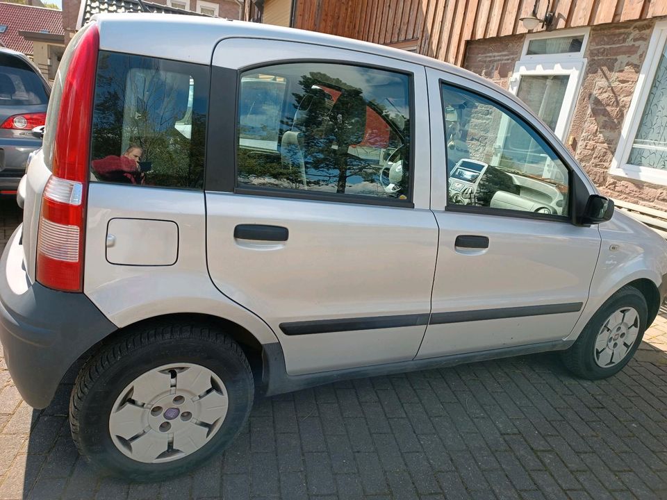 Fiat Panda mit LPG Gasanlage in Stadtoldendorf