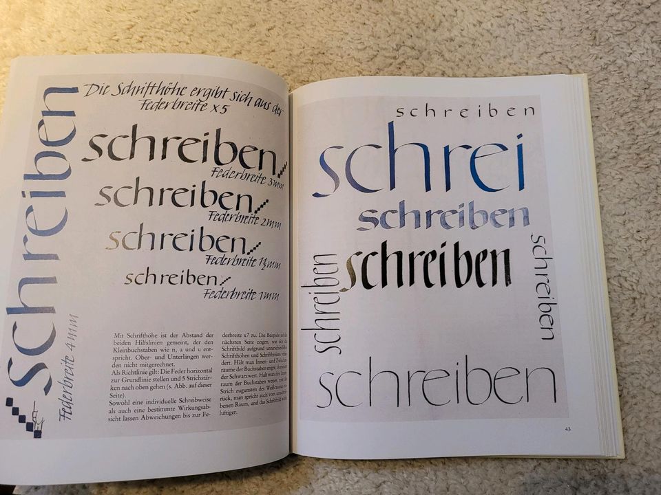Buch Kalligraphie Die Kunst des schönen Schreibens in Schwäbisch Hall