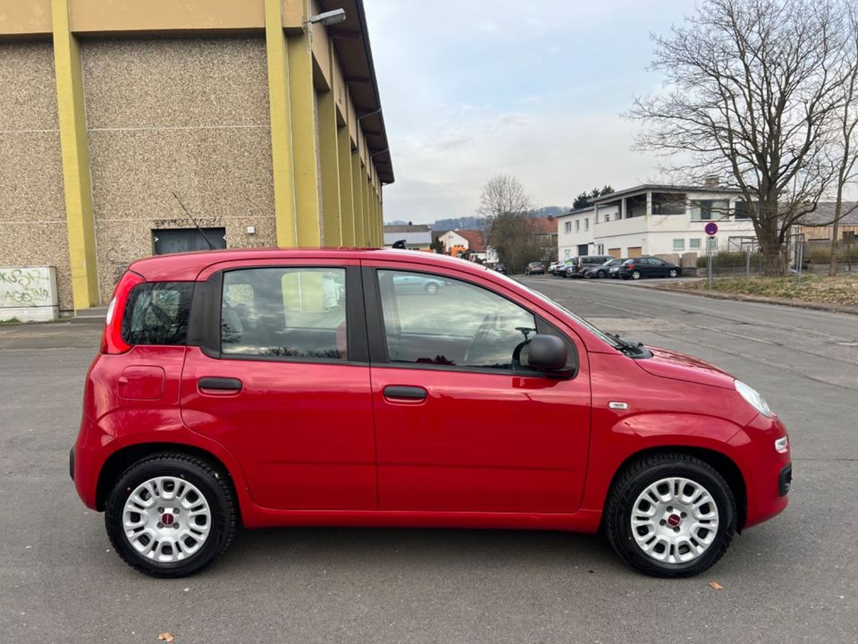 Fiat Panda Easy 1,2  / Klima in Cölbe