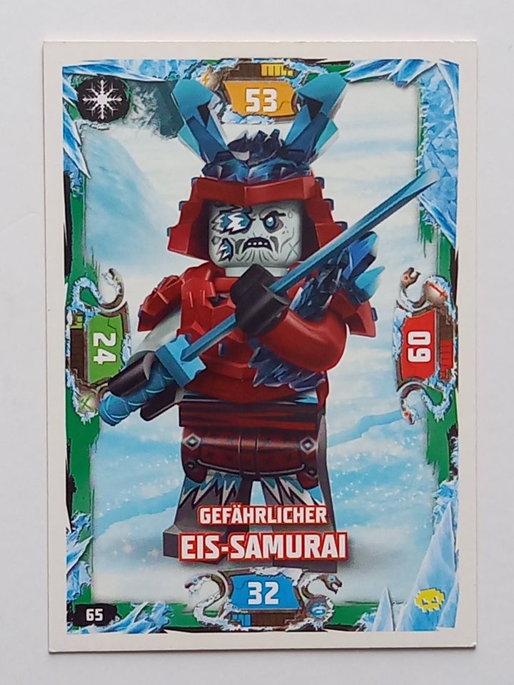 Ninjago Trading Card Game - Sammelkarten Serie 5 Next Level in Augustusburg