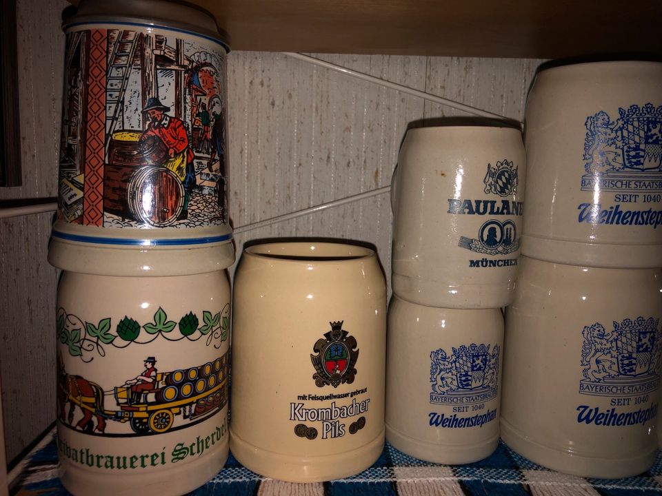 11 Bierhumpen Bierkrüge Krug in Monheim am Rhein